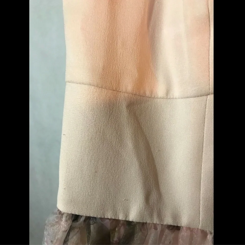 $675 Ted Baker 'Faunia' Torchlit Floral Ballet‎ Dress Pink [SZ 1 in TB]